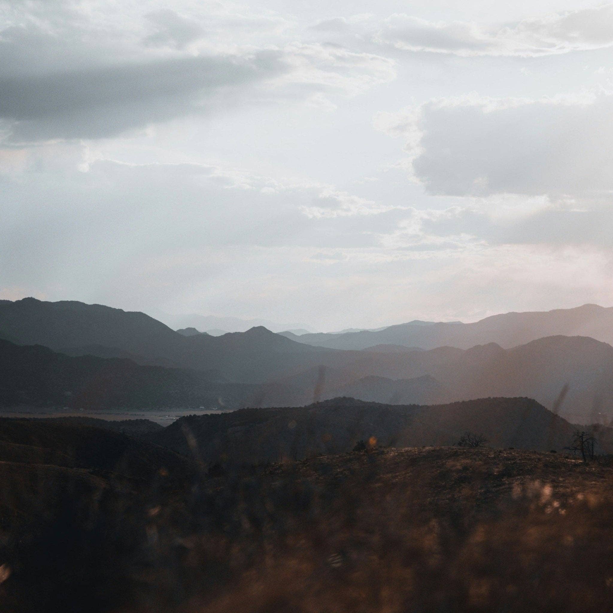 Three More Days Collection - Wholesale Essential Oil - Peace Essential Oil Blend1