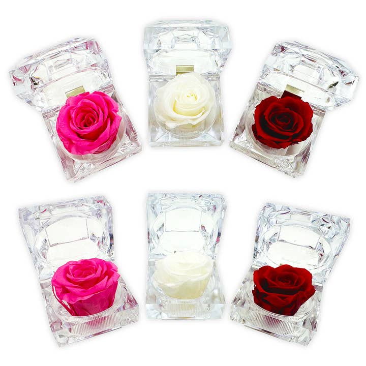 Valentine's Day Preserved Rose Keepsake Assortment- 12/Pack for wholesale by Novelty Closeout