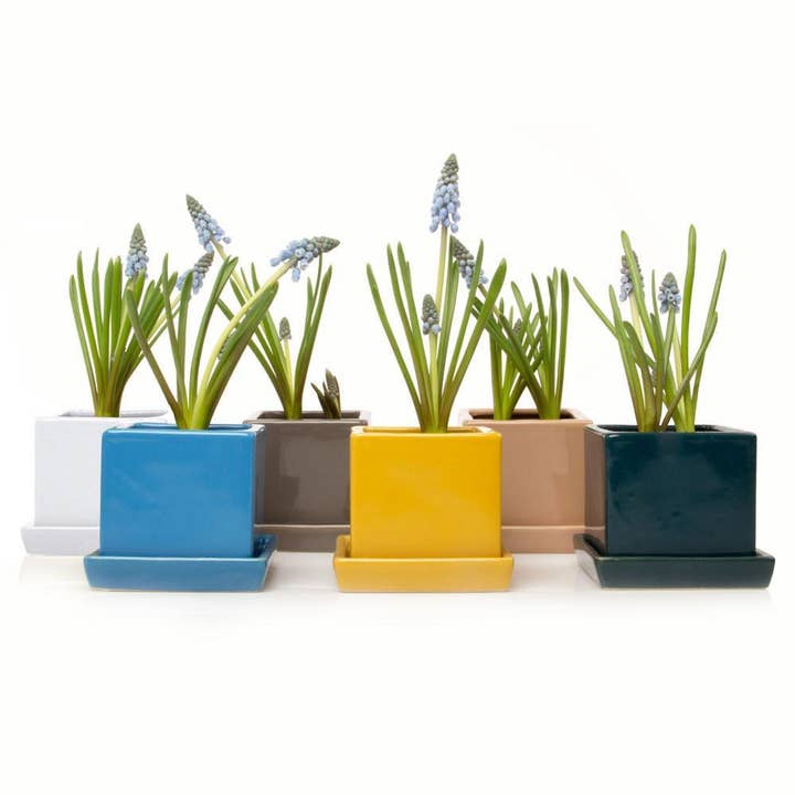 Chive - Wholesale Plant Pot - Cube & Saucer Indoor Plant Pot With Drainage