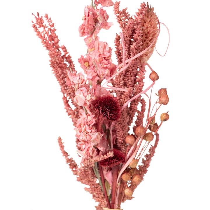 Andaluca - Wholesale Dried/Pressed Flowers - Pink Wildflower Mini Bouquet #138