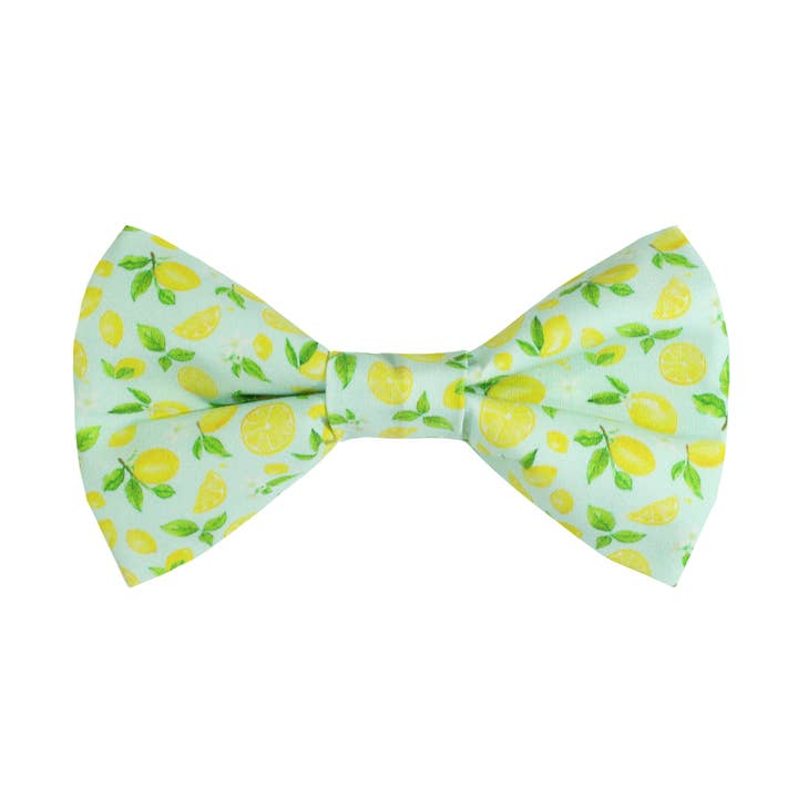 Lemon Dog Bow Tie for wholesale by Pretty posh pups