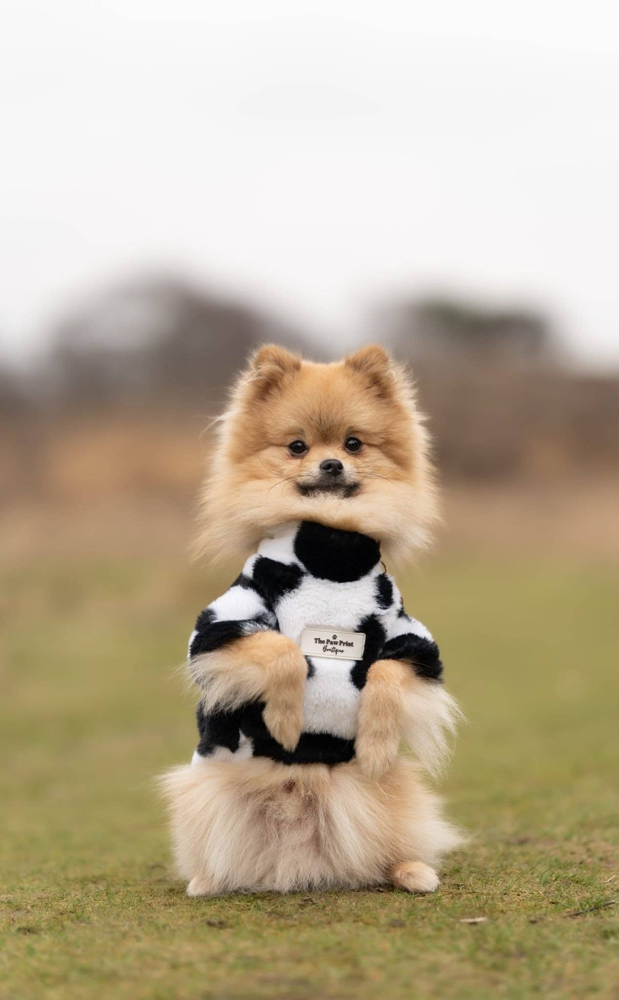 The Paw Print Boutique - Wholesale Pet Coat - Dog - The Cow Print Fluffy & Fabulous Fleece17