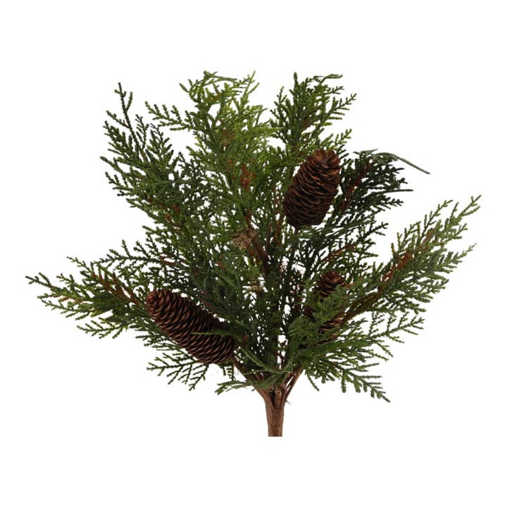 Thuja bundle with cones 40 cm green for wholesale by Floratexx
