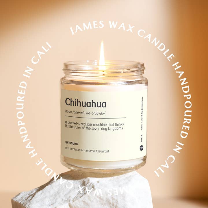 Wick n Word - Wholesale Jar/Filled Candle - Custom Chihuahua Gift Chihuahua Definition Candle Gift For Chihuahua Owners Chihuahua Lover Funny Surprise Gift Holiday Gift W0222