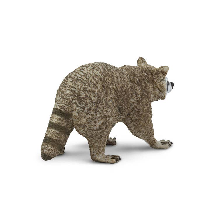 Safari Ltd. - Wholesale Decorative Figurine - Raccoon - 2230291