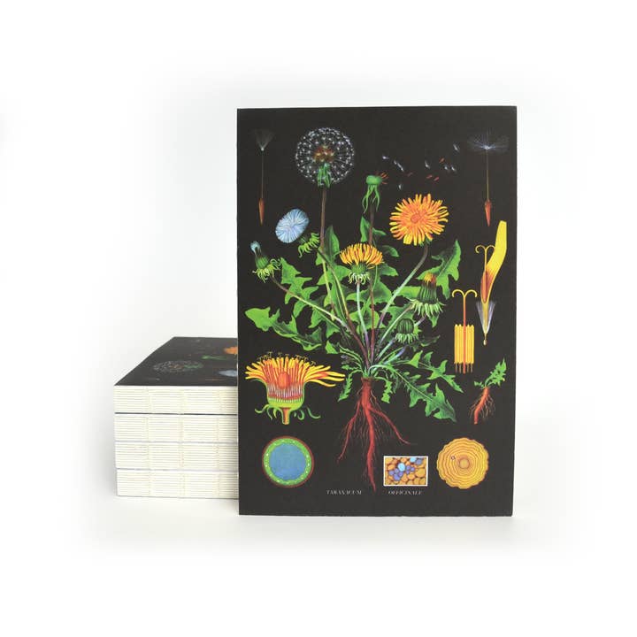 Curious Prints - Venta al por mayor Cuadernos - Cuaderno de Encuadernación Copta Expuesta de Diente de León Botánico Vintage