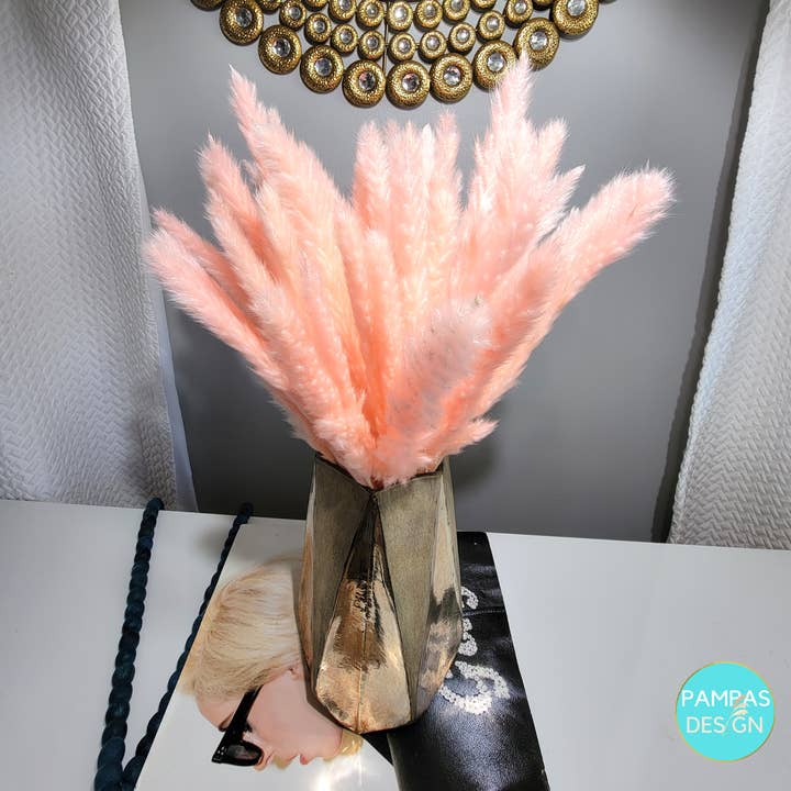 Pampas Design – Großhandel Getrocknete/gepresste Blumen – Hellblaues Pampasgras 30 Stängel