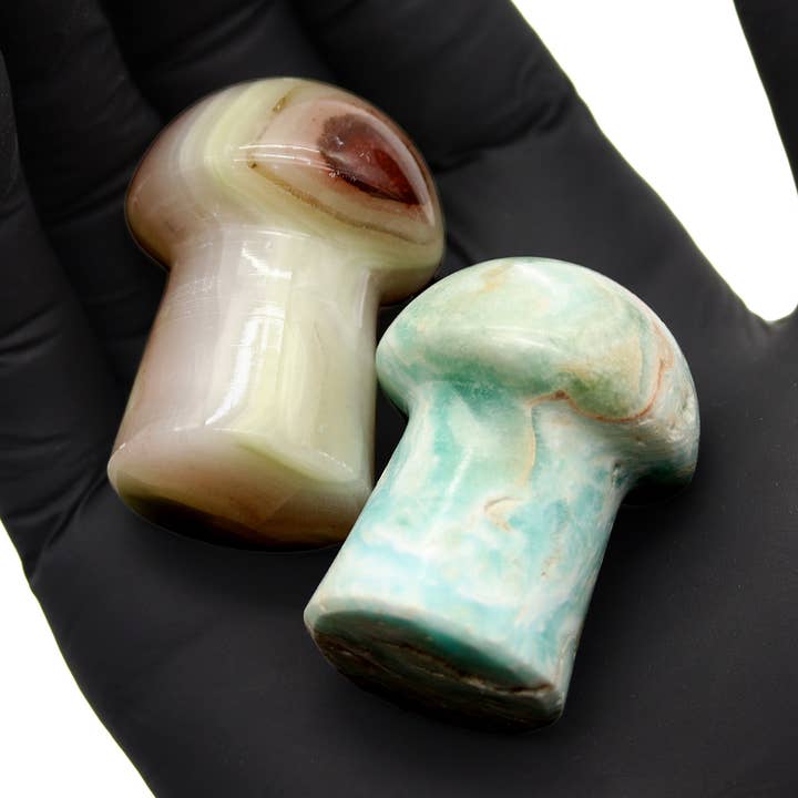 18 pièces plates - Champignons en calcite et cristaux - sélectionnés au hasard pour la vente par Crystal River Gems LLC