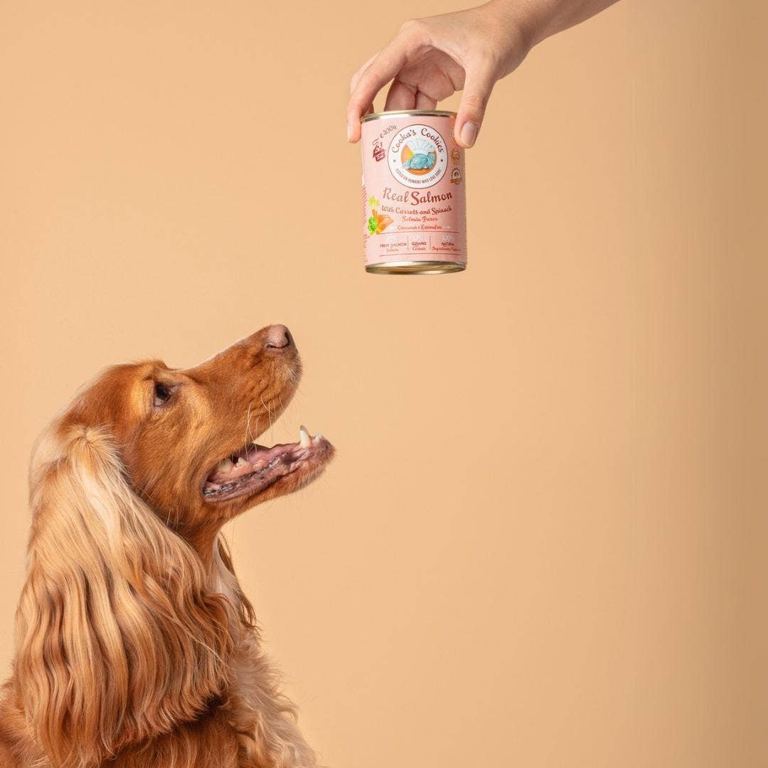 Belpharmed bv: Cooka's Cookies & Sensidog - Wholesale Pet Food - Dog - Real Salmon - Natural Humid Dog Food1