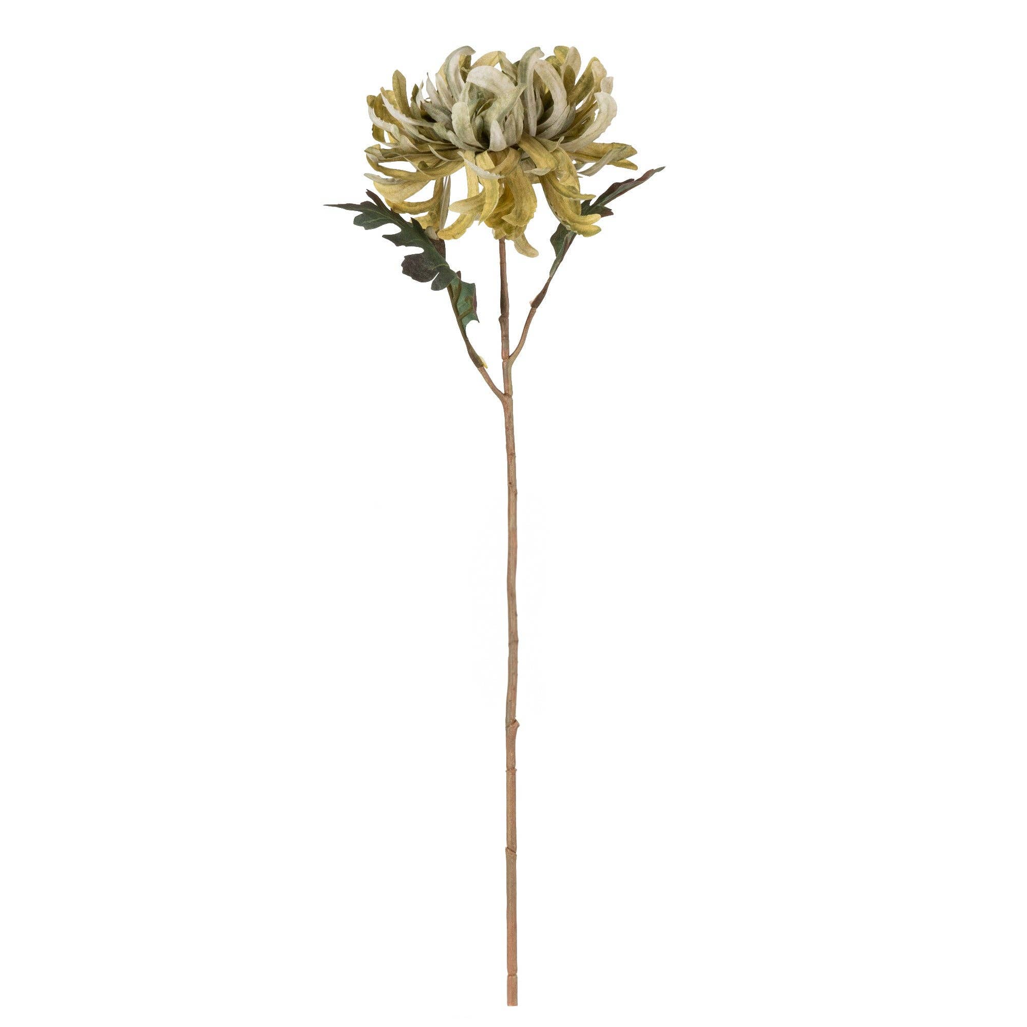 Candlelight Products Ltd – wholesale Artificial flowers – 50cm Chrysanthemum - Olive 10PK1
