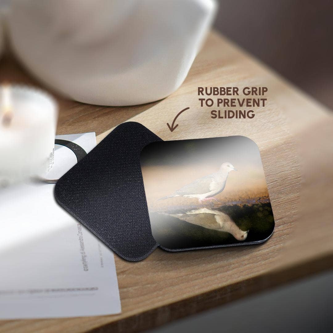 3dRose - Wholesale Coasters - 3dRose, White-tipped dove, Leptotila verreauxi by pond., Coaster10