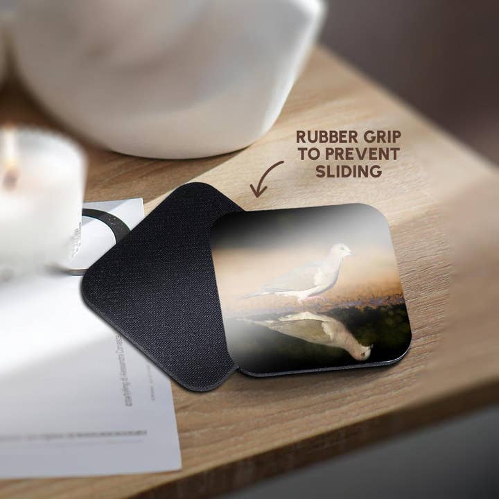 3dRose - Wholesale Coasters - 3dRose, White-tipped dove, Leptotila verreauxi by pond., Coaster10