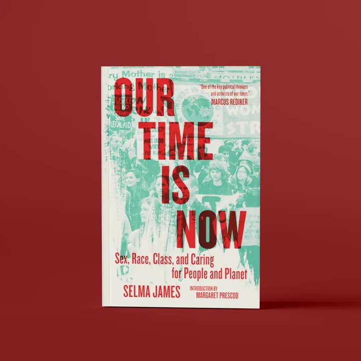 Our Time Is Now: Sex, Race, Class, Care For People & Planet for wholesale by PM Press