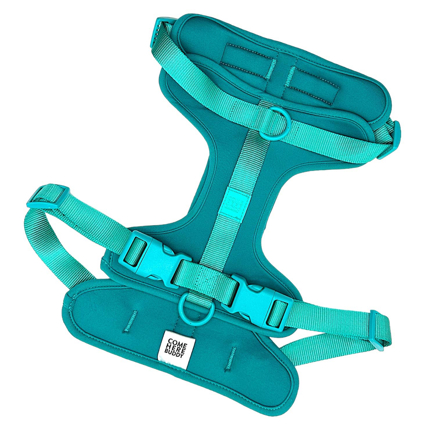 Come Here Buddy – Großhandel Haustiergeschirr – Hund – Leichter, verstellbarer gepolsterter Hundegeschirr16