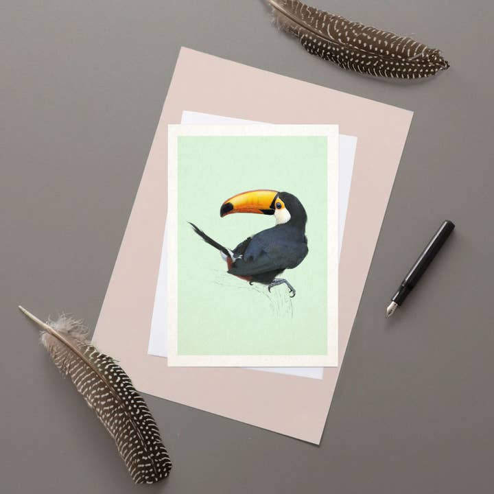 Toco Toucan Greetings Card for wholesale by Hidden Planet