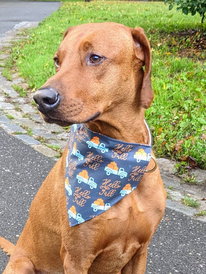 Hello Fall Bandana for wholesale by Koa's Ruff Life