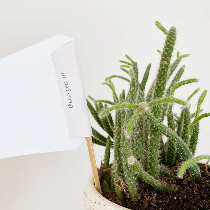 Handpicked Goods - Wholesale Garden/lawn stake - You're the Best flag1