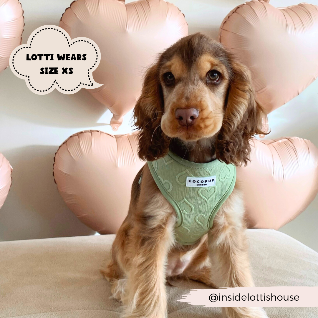 Cocopup London - Wholesale Pet Harness - Dog - Luxe Adjustable Neck Harness - Sage Heart8