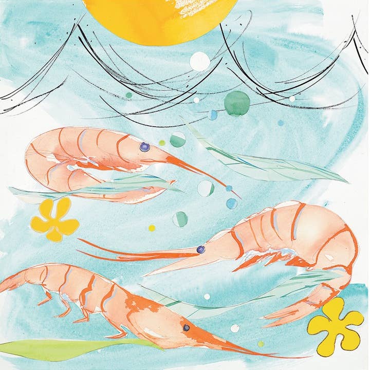 Liz Lind Editions - Wholesale Art Print - Gulf Shrimp