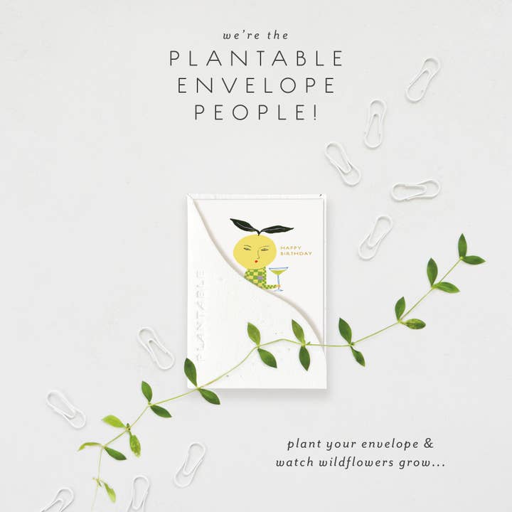 Seedlings - Wholesale Birthday Card - Yuzu Sprout - Birthday Mini Greeting Card 2.5" x 3.5"1