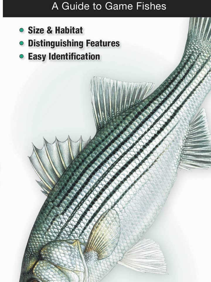 Süßwasserfische von Ohio für den Großhandel von Quick Reference Publishing, Inc