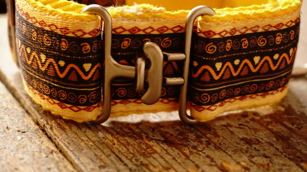 hundsfutter - Vente Collier – chien - Collier large jaune pour chiens11