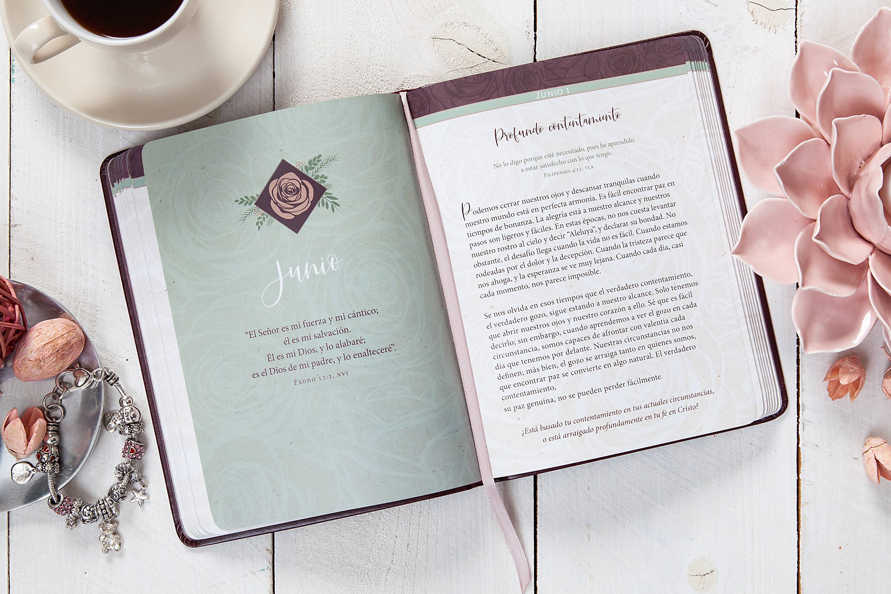 BroadStreet Publishing Group, LLC - Vente Religion - Fuerzas para cada día para la mujer (espagnol, Devo féminin)2