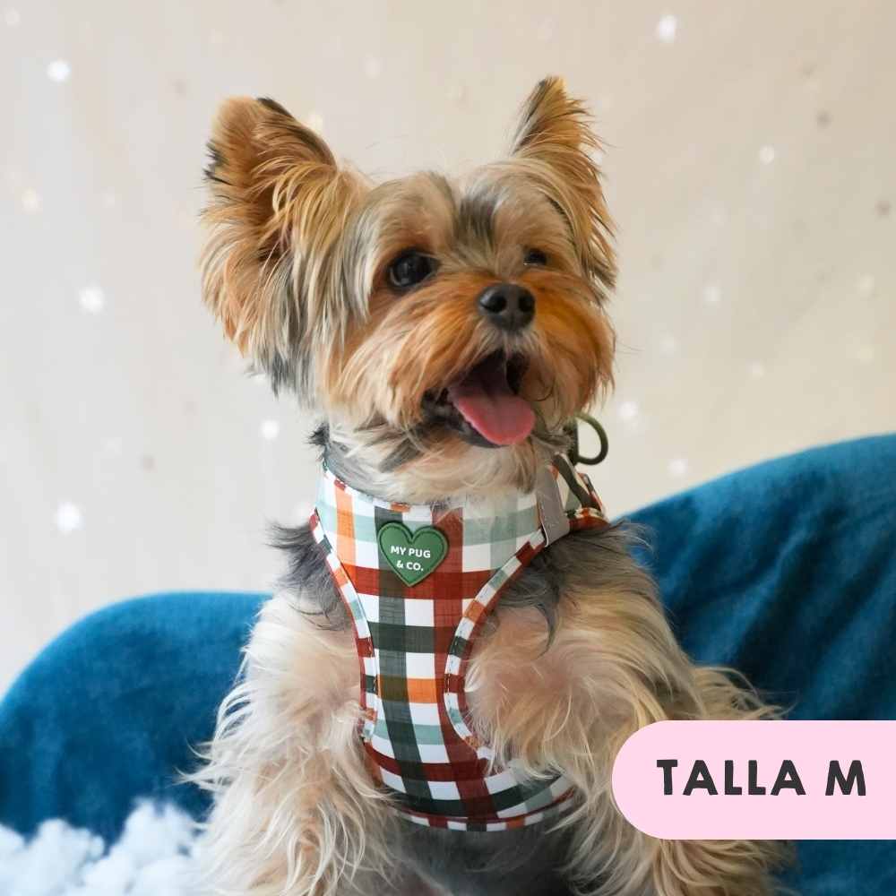 My Pug & Co. - Wholesale Pet Harness - Dog - Autumn Picnic Body Harness6