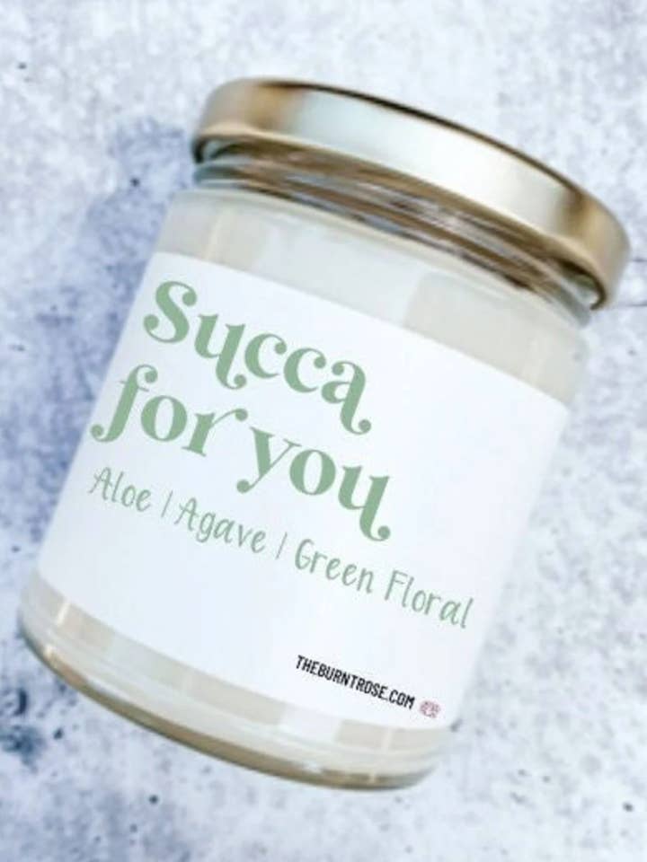 Succa for you for wholesale by The burnt rose