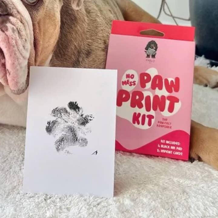 Pablo & Co. Boutique - Vendita all'ingrosso Kit per lavoretti fai da te - Kit per impronte a forma di zampa di cane No Mess di Pablo & Co.0