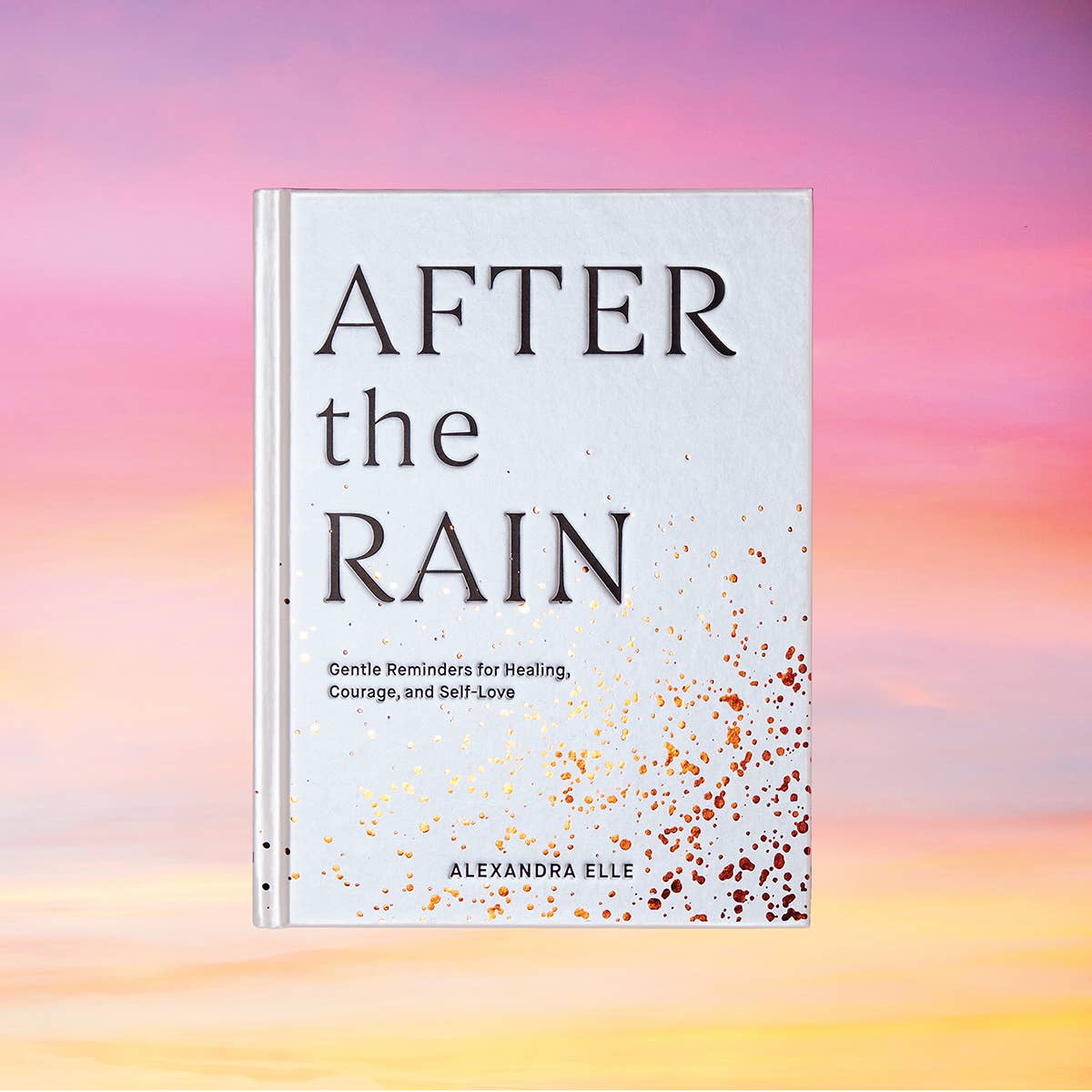 Chronicle Books - Wholesale Self-Help & Personal Development - After the Rain14