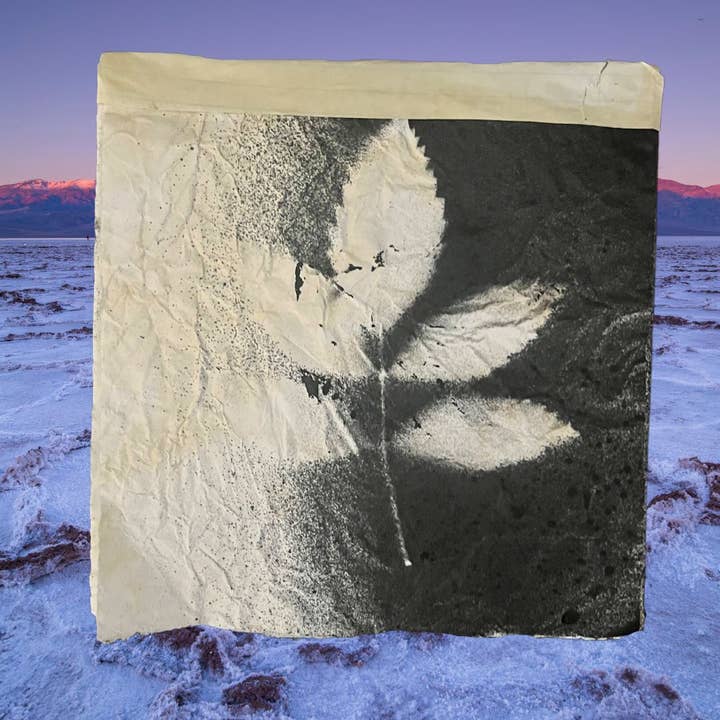 Notebook (Eco Printed, Recycled materials) for wholesale by Shop Alizor