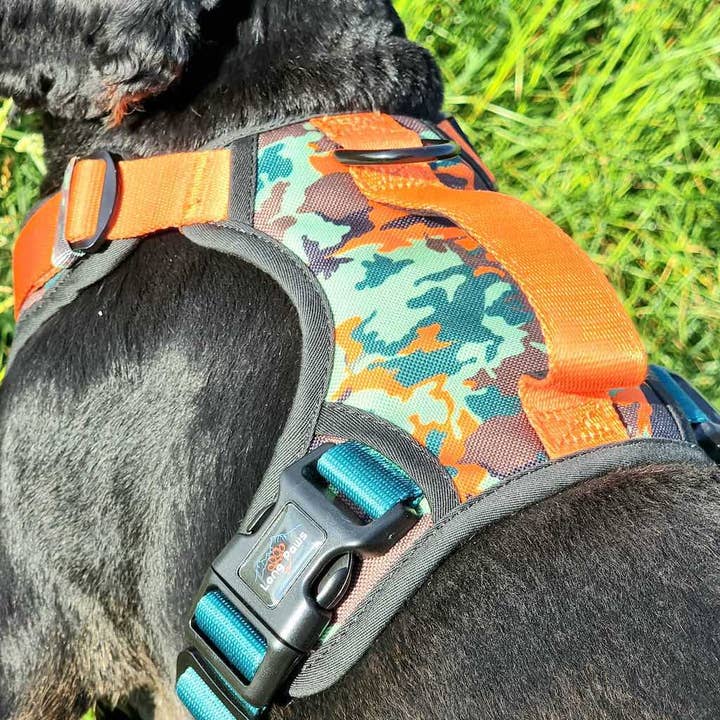 Long Paws - Wholesale Pet Harness - Dog - Earth Friendly - Trig Point Harness and Lead Set9