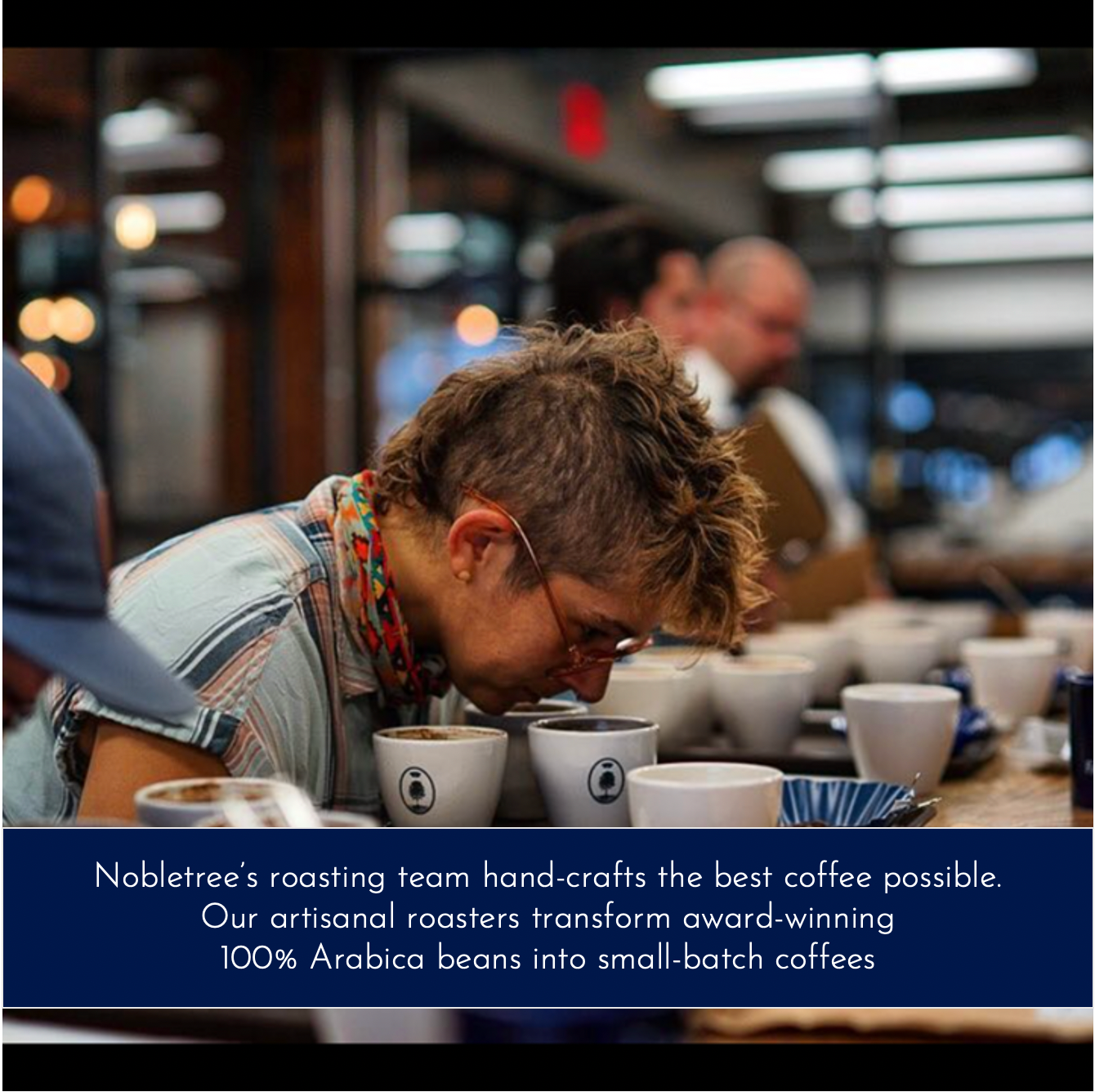 Nobletree Coffee - Wholesale Coffee Beans - Nobletree "Dromedaire" Light Medium Roast Coffee, 20oz3