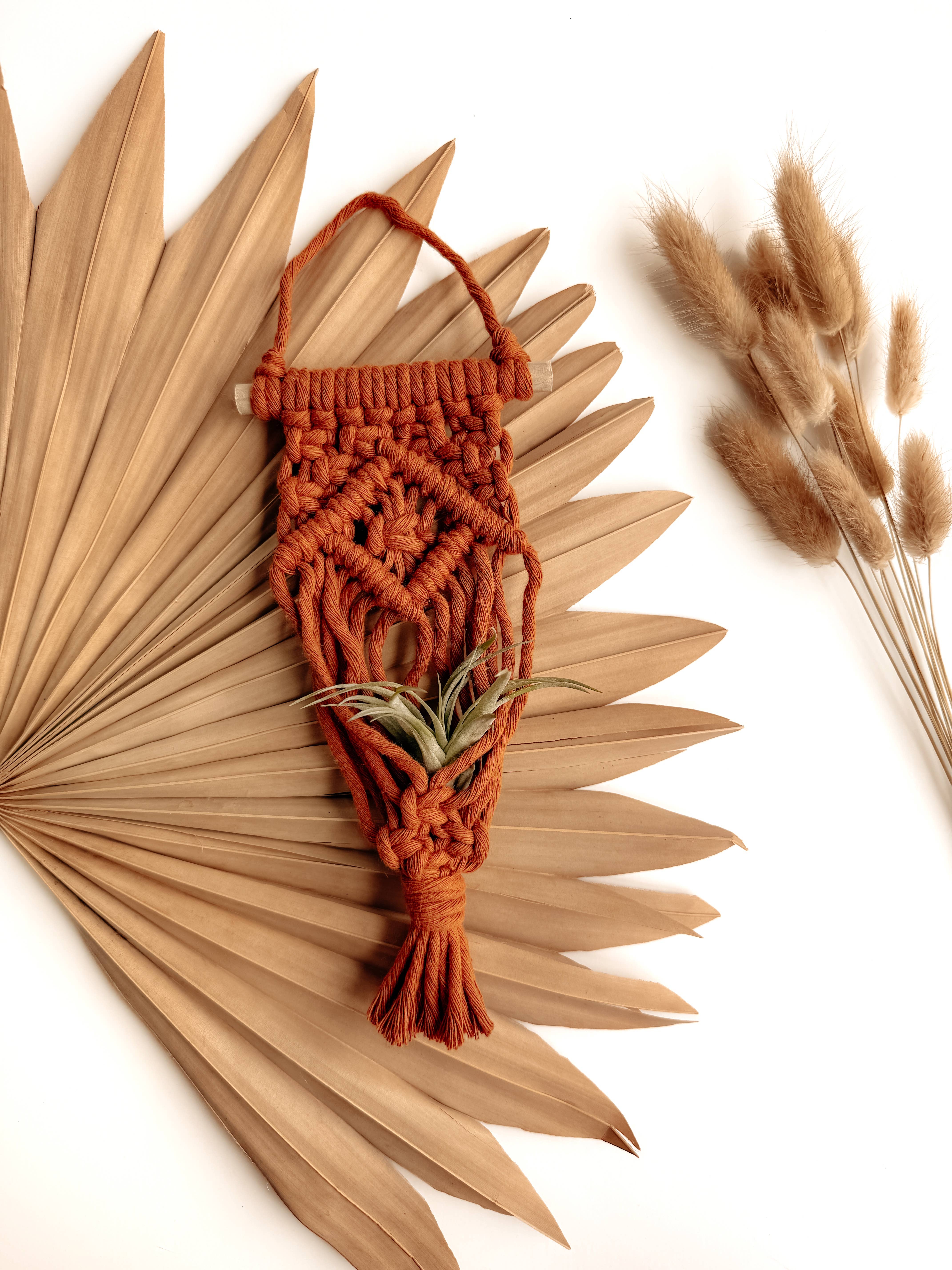 Meraki The Studio Co. - Wholesale Hanging Planter - Air Plant Hanger | Macrame Planter Holder | Boho Home Decor5