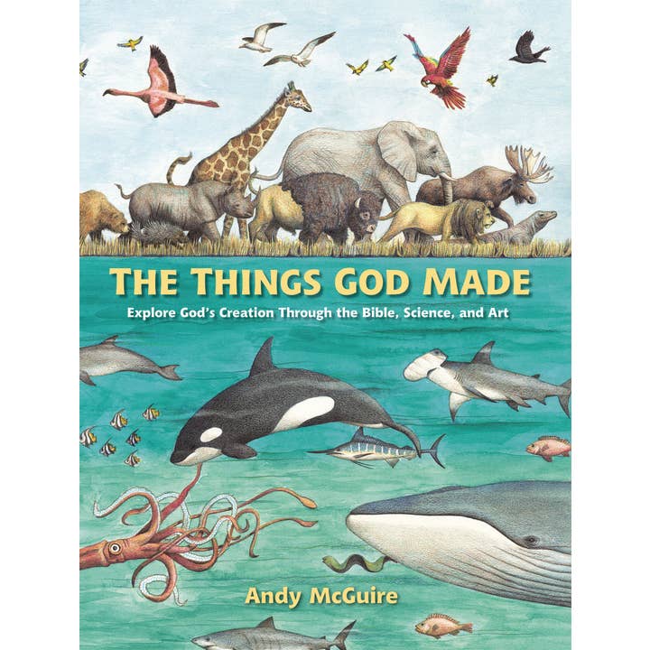 HarperCollins Christian Publishing - Wholesale Religion - Things God Made, The