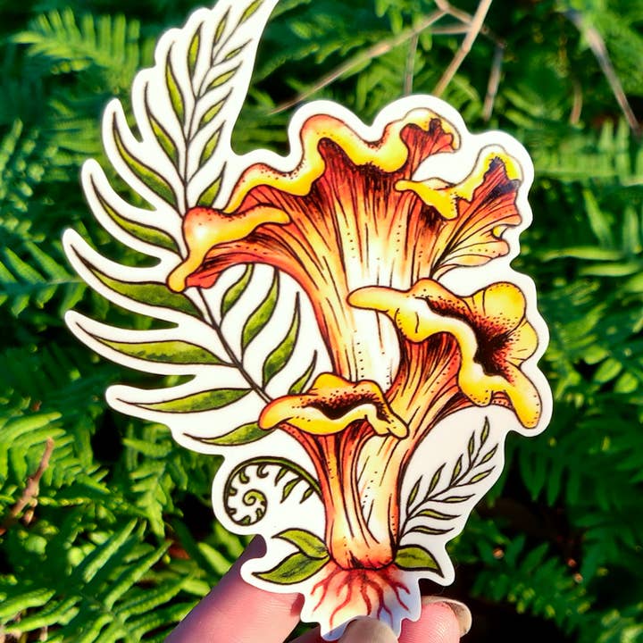 Crafted from Scratch - Wholesale Sticker - Golden Chanterelle - Vinyl Sticker Art - Mushroom Magic Nature Forest Witchy Mycelium Mountain Foraging Fern Watercolor