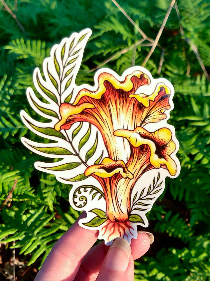 Golden Chanterelle - Vinyl Sticker Art - Mushroom Magic Nature Forest Witchy Mycelium Mountain Foraging Fern Watercolor for wholesale by Crafted from Scratch