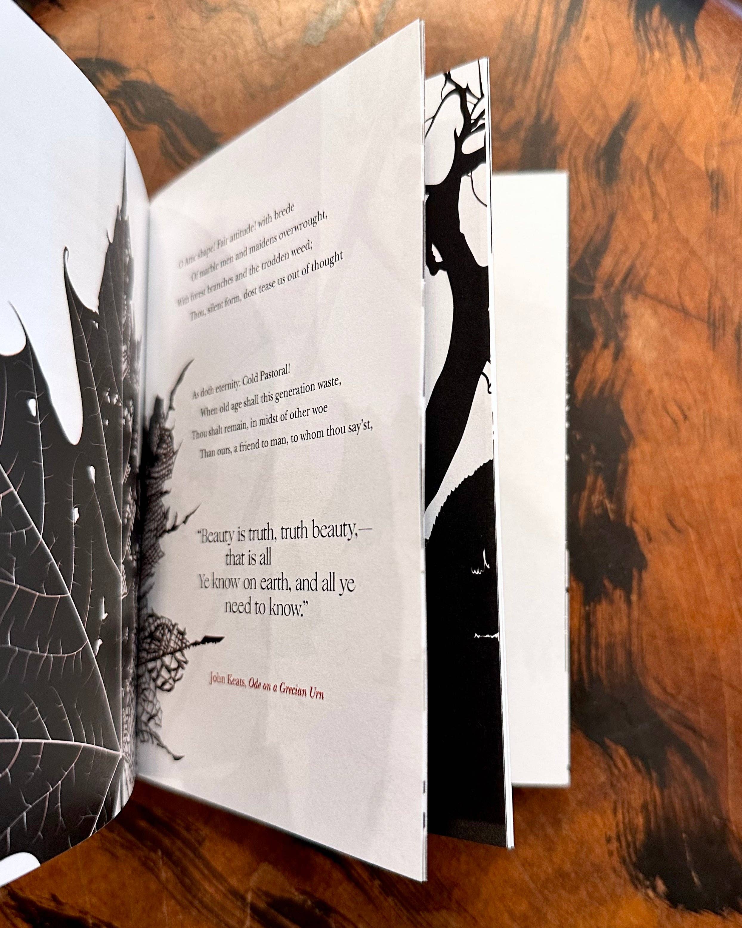 Obvious State - Wholesale Poetry & Drama - On Nature: Collected Works4