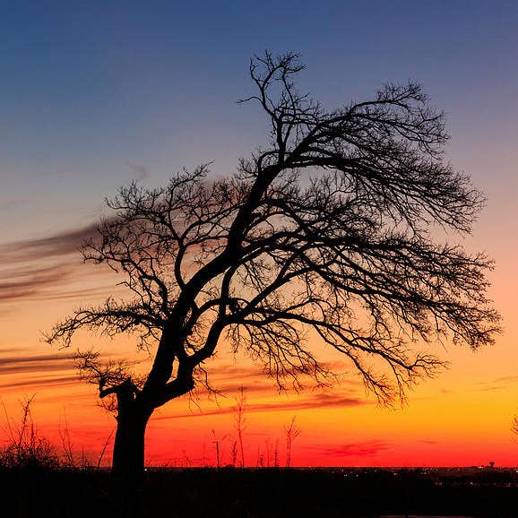 Impression d'art de couchers de soleil sur le lac Texas TLS247 pour la vente par Breaking Rules Photography