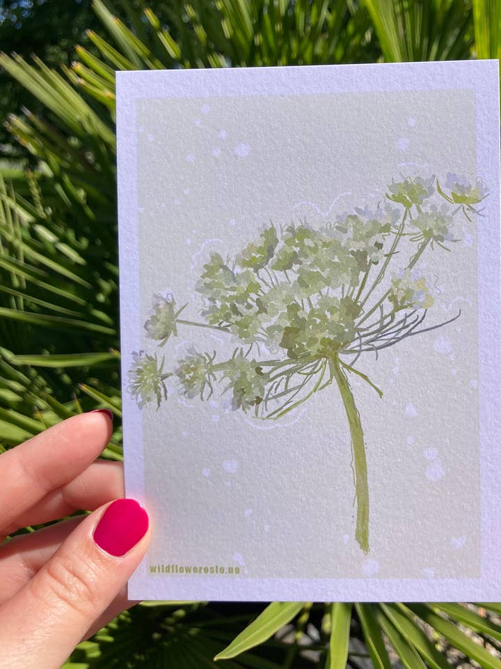 Cartão Postal A6 # 0082 por atacado de Wildflower Oslo