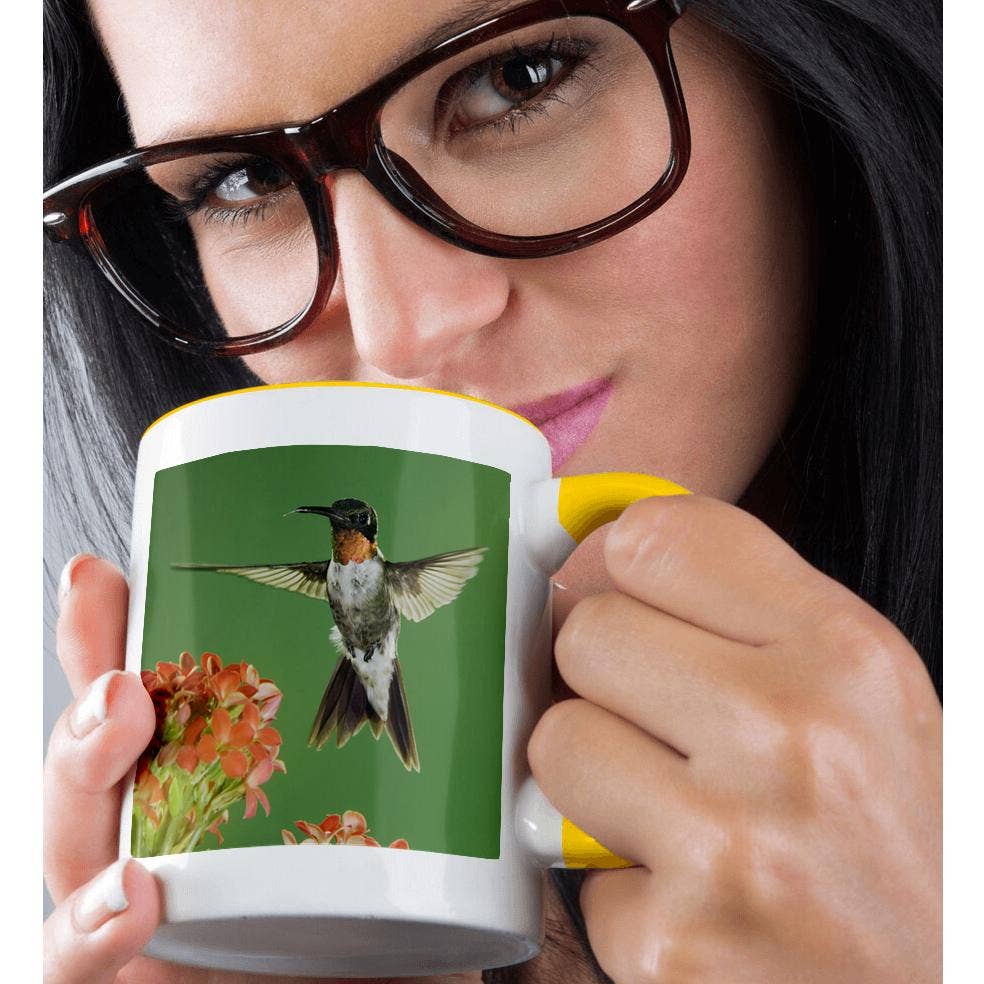 3dRose - Wholesale Coffee Mug - 3dRose, Ruby-throated Hummingbird, Kalanchoe Flower Texas - NA02 RNU0765 - Rolf Nussbaumer, Mug1