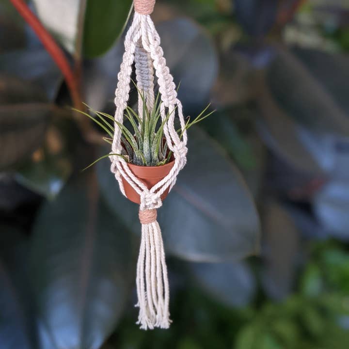 Leaf and Cord - Wholesale Hanging Planter - Mini Macrame Plant Hanger1