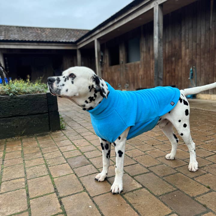 Doghouse - Wholesale Pet Sweater - Dog - Extra Large Breed Dog Fleece Jumper