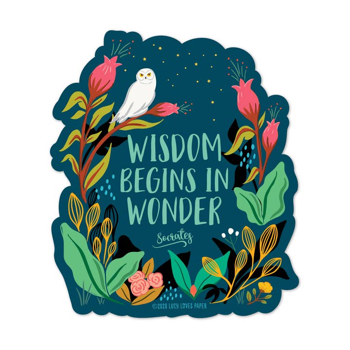 Autocollant Wisdom Begins in Wonder pour la vente par Lucy Loves Paper