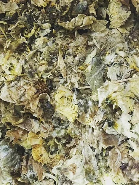 Ju Hua Chrysanthemum Tea Bags Set of 4 for wholesale by Huron Point Acupuncture