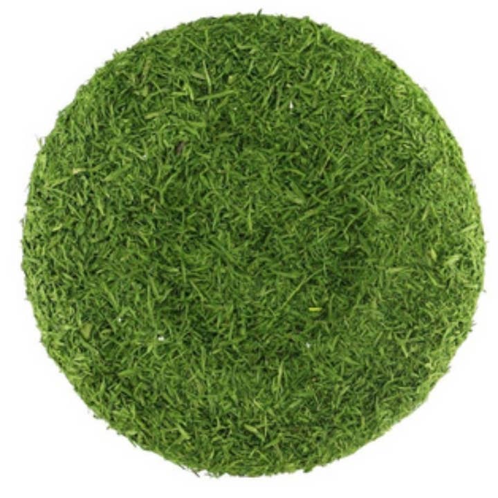 Trendy tree - Wholesale Artificial Flowers - 7" Green Flower Center MD037009