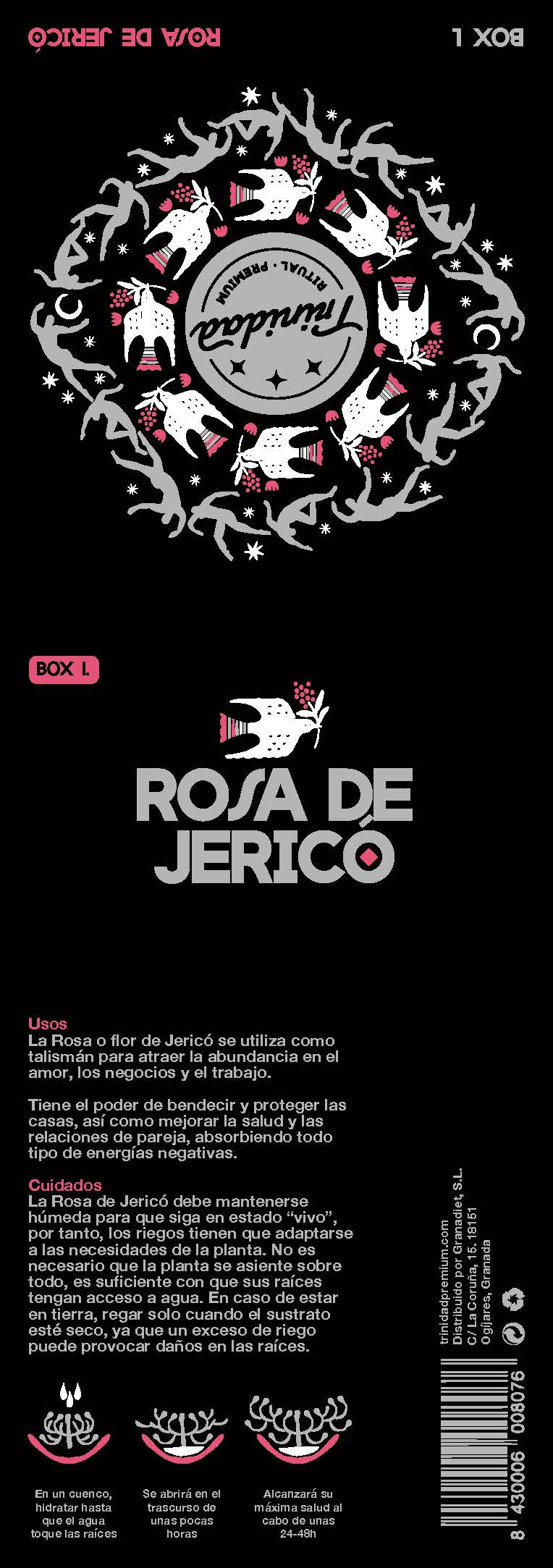 trinidad - Wholesale Live Plant - Box1 Rosa Jerico 1 unit2