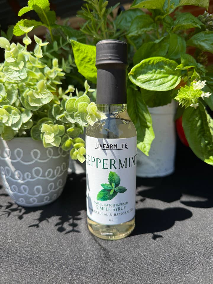 Pebermyntesirup for engroshandel hos LivFarmLife