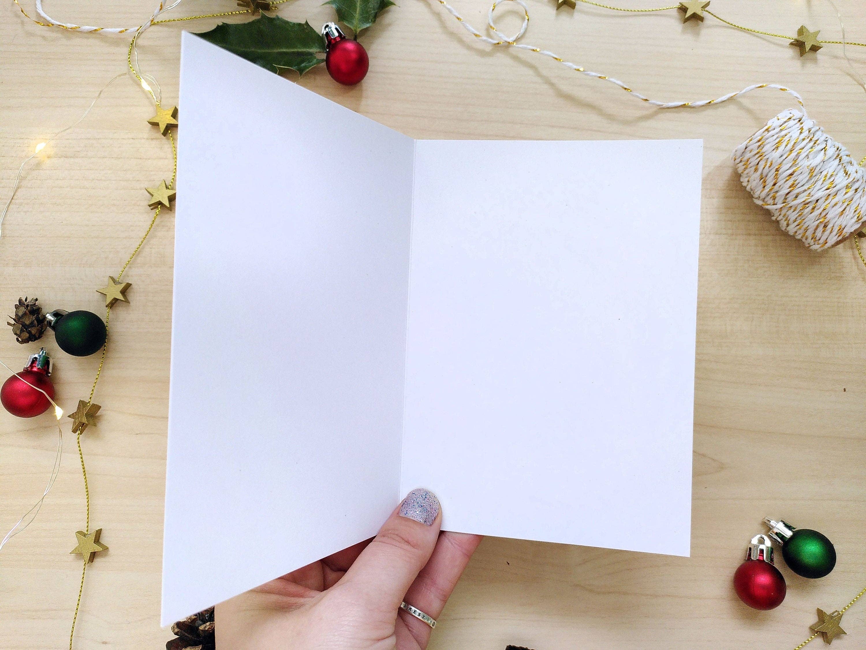 The Curious Cactus - Wholesale Season's Greetings Card - Santa One More Plant Please Christmas Card1